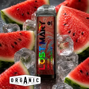 Lost-Mary-watermelon-ice